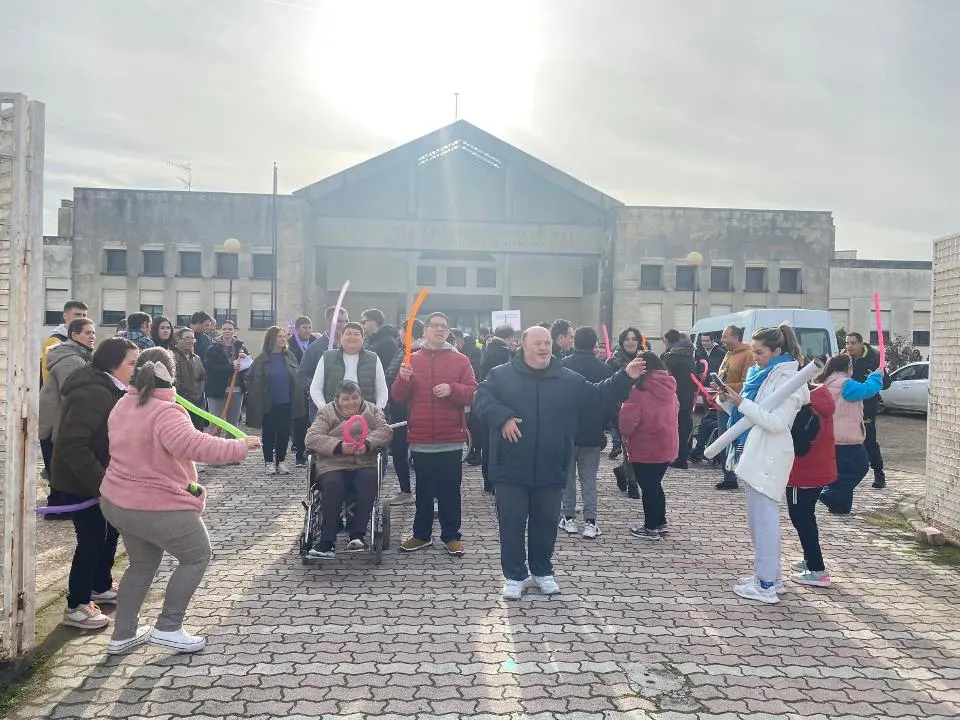 VII MARCHA POR LA DISCAPACIDAD (4)