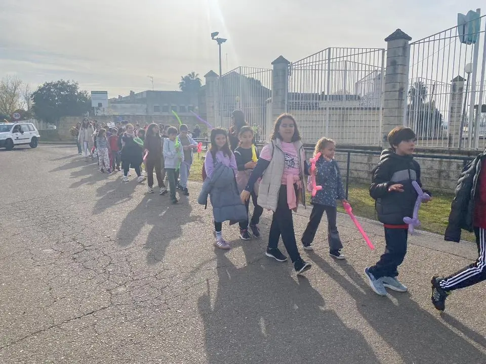 VII MARCHA POR LA DISCAPACIDAD (19)