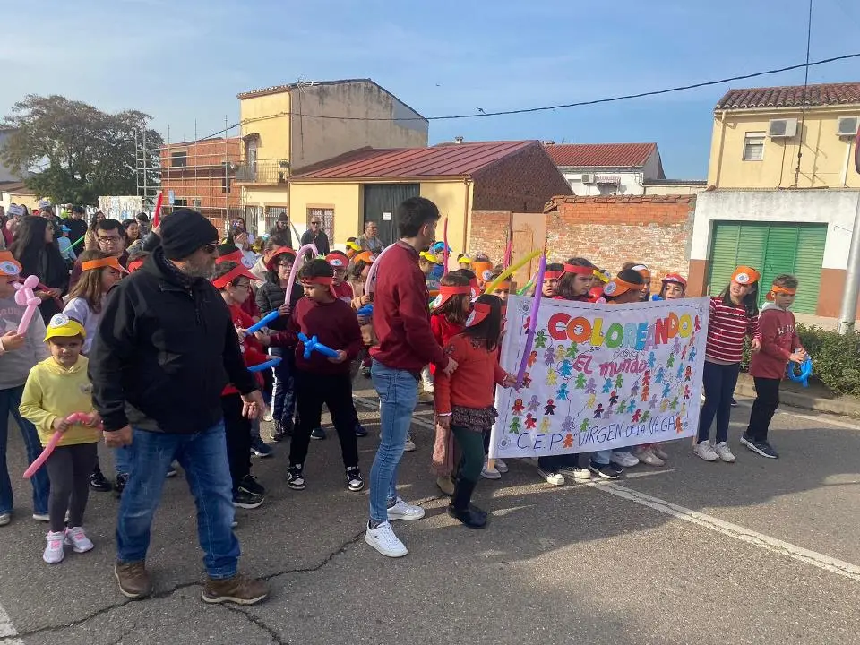 VII MARCHA POR LA DISCAPACIDAD (32)