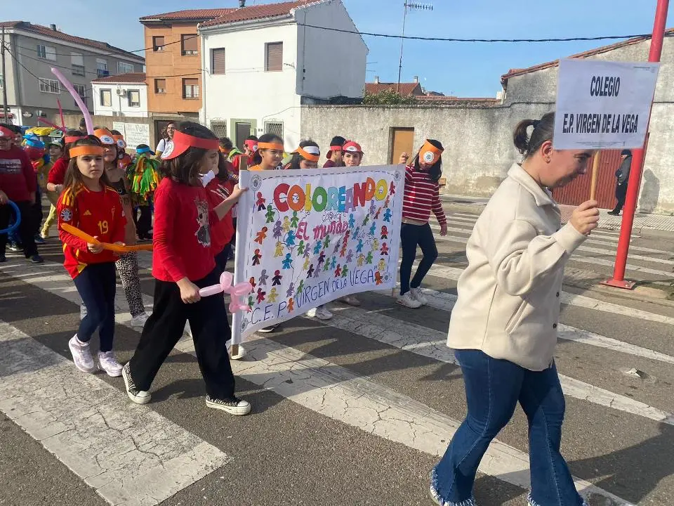 VII MARCHA POR LA DISCAPACIDAD (38)