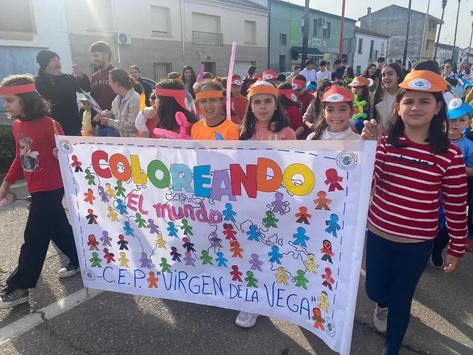 VII MARCHA POR LA DISCAPACIDAD (39)