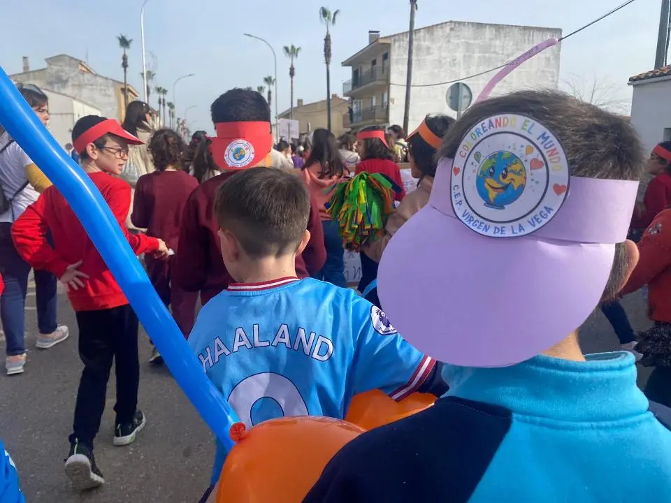 VII MARCHA POR LA DISCAPACIDAD (46)