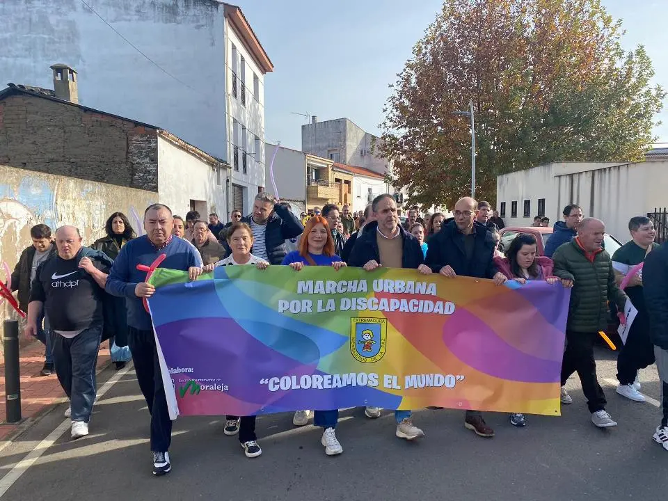 VII MARCHA POR LA DISCAPACIDAD (60)