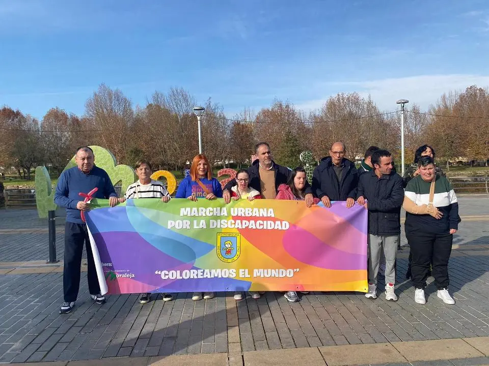 VII MARCHA POR LA DISCAPACIDAD (63)