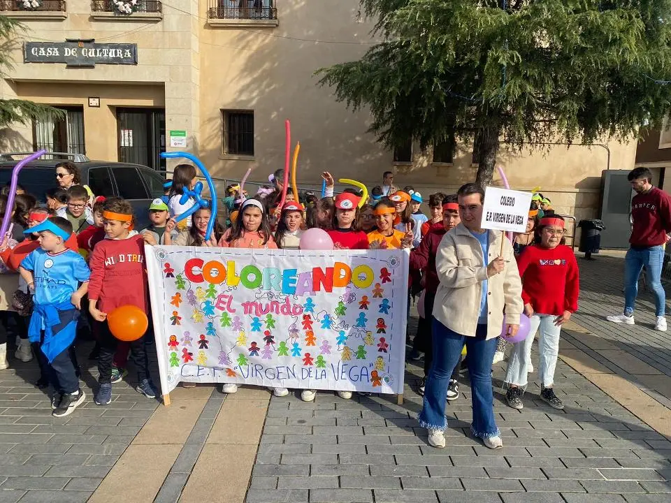 VII MARCHA POR LA DISCAPACIDAD (68)