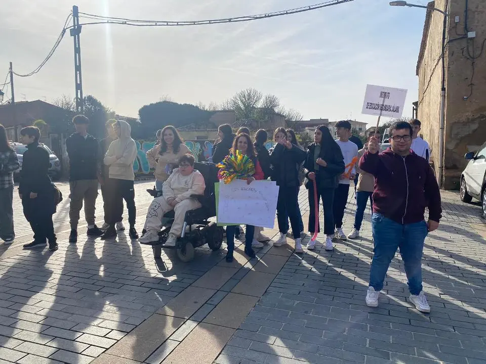VII MARCHA POR LA DISCAPACIDAD (70)