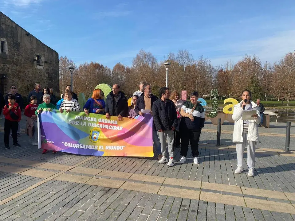 VII MARCHA POR LA DISCAPACIDAD (74)