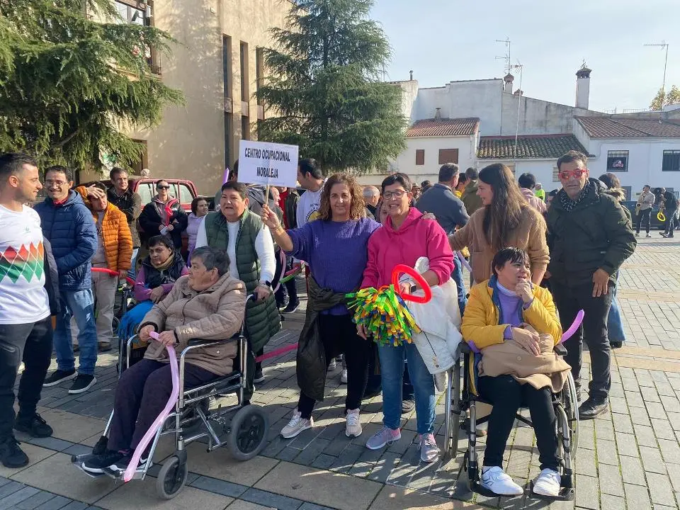 VII MARCHA POR LA DISCAPACIDAD (72)