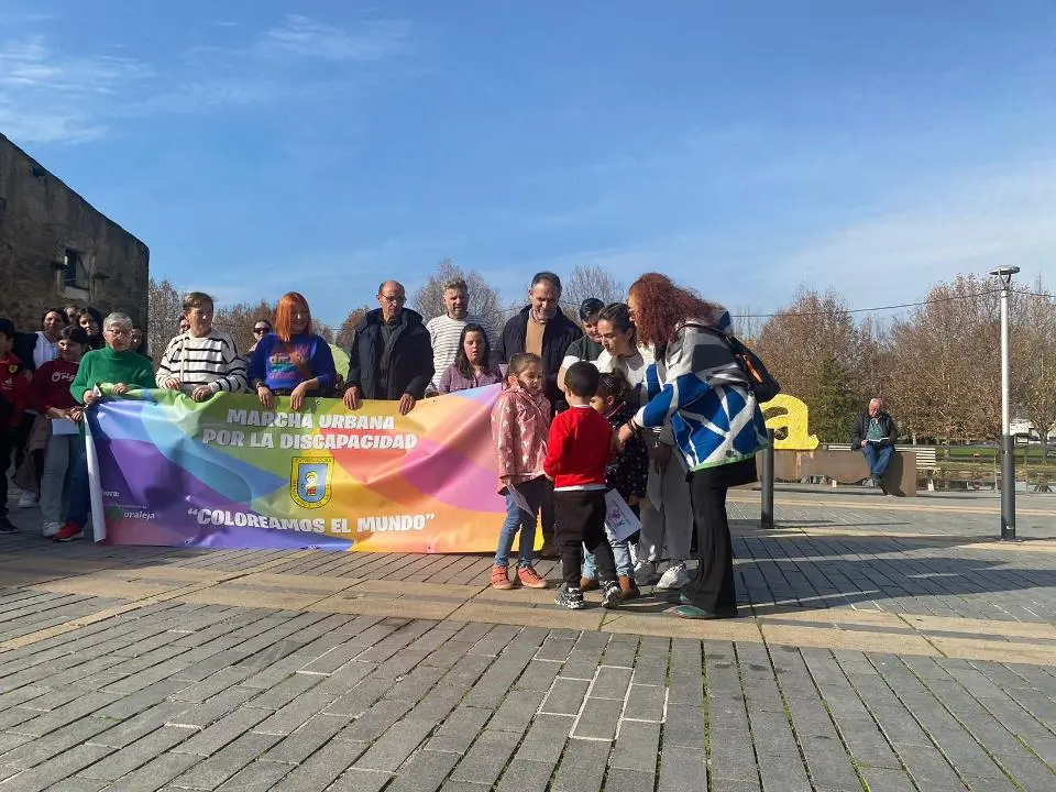 VII MARCHA POR LA DISCAPACIDAD (77)