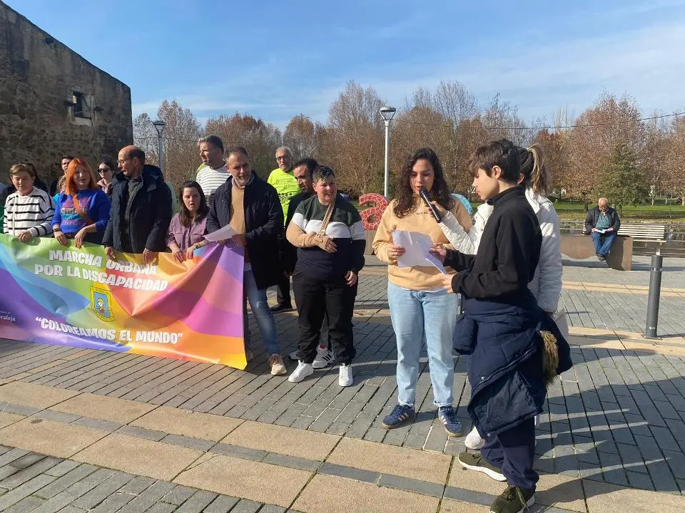 VII MARCHA POR LA DISCAPACIDAD (80)