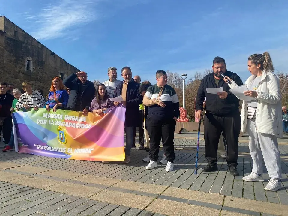 VII MARCHA POR LA DISCAPACIDAD (81)