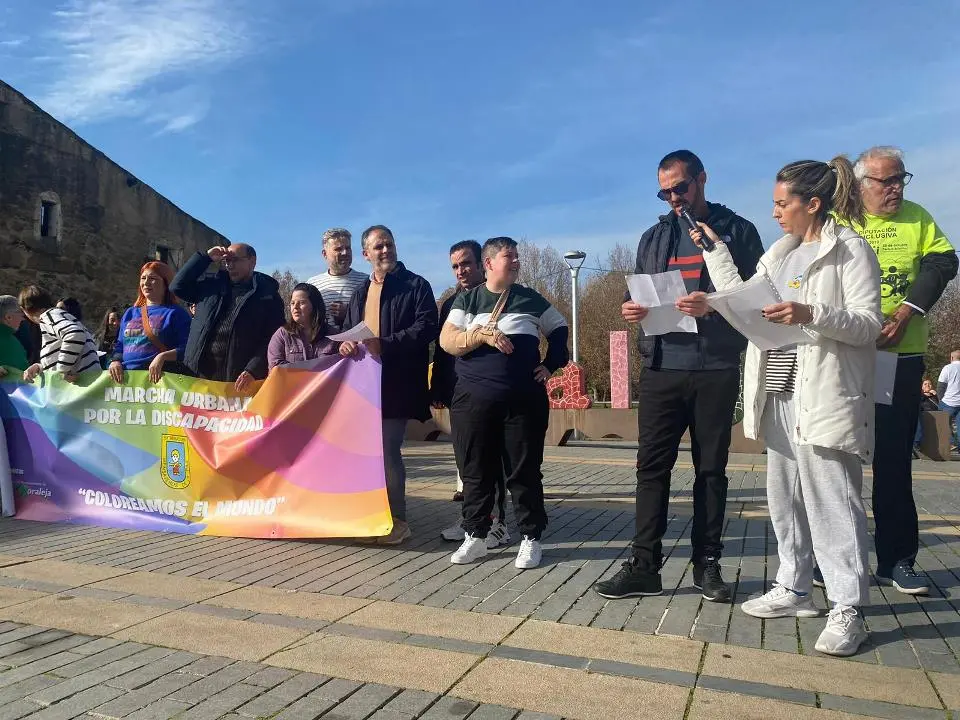 VII MARCHA POR LA DISCAPACIDAD (83)
