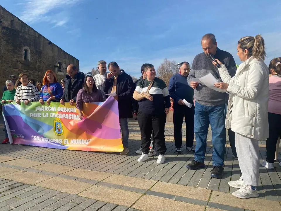 VII MARCHA POR LA DISCAPACIDAD (84)
