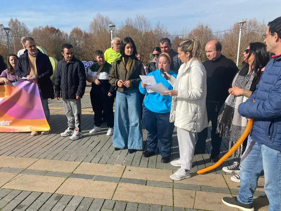 VII MARCHA POR LA DISCAPACIDAD (85)