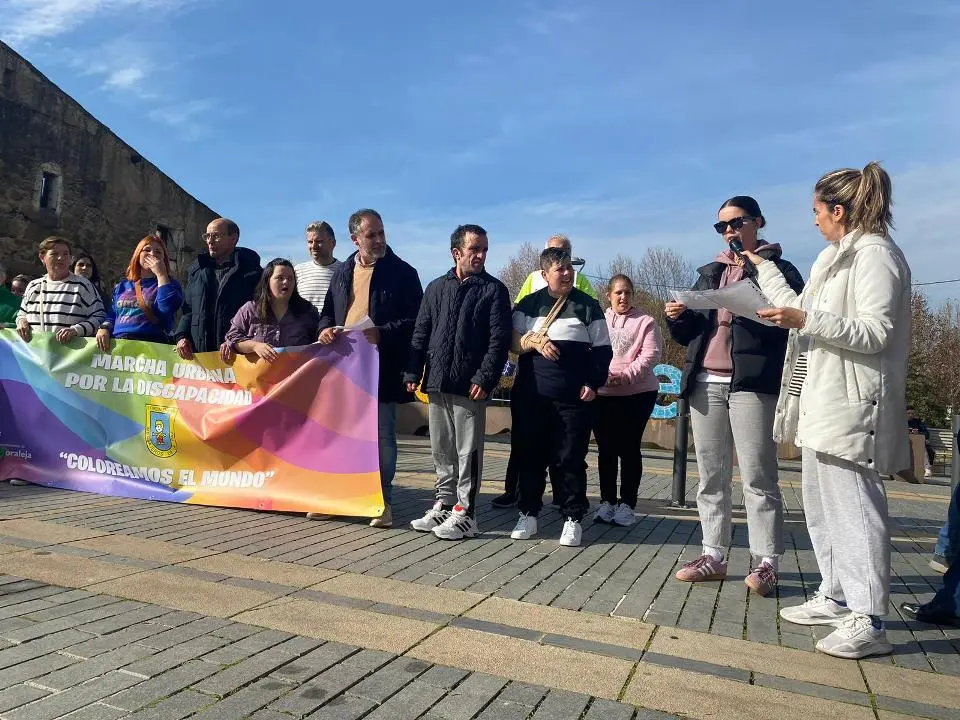 VII MARCHA POR LA DISCAPACIDAD (88)