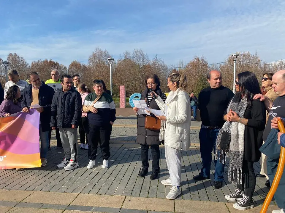 VII MARCHA POR LA DISCAPACIDAD (90)