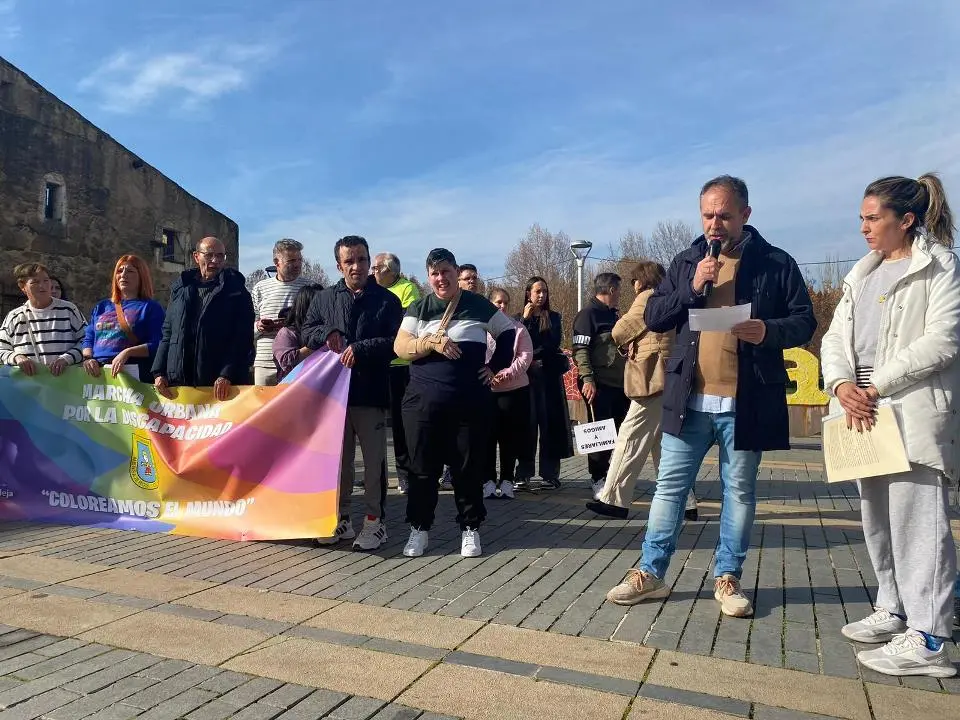VII MARCHA POR LA DISCAPACIDAD (91)
