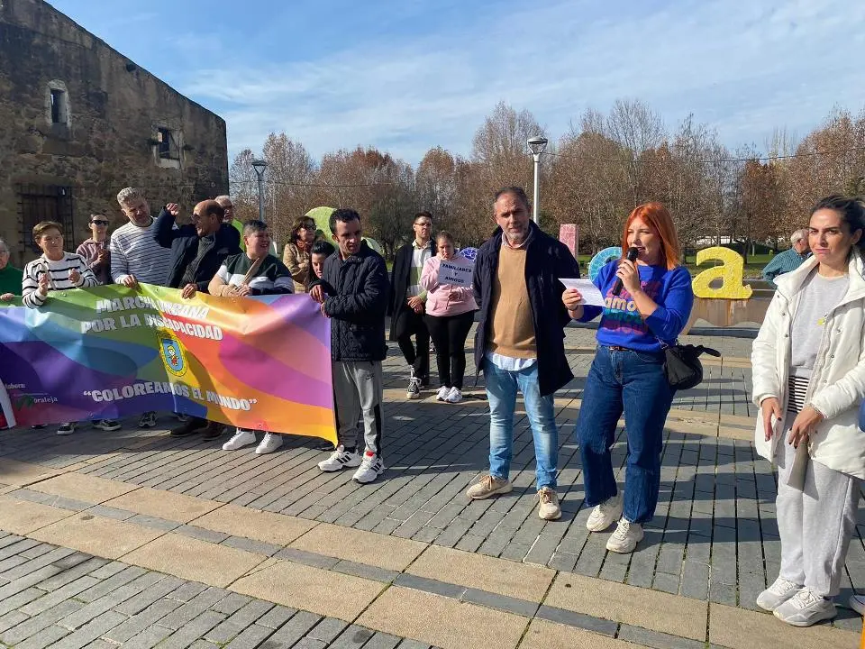 VII MARCHA POR LA DISCAPACIDAD (93)