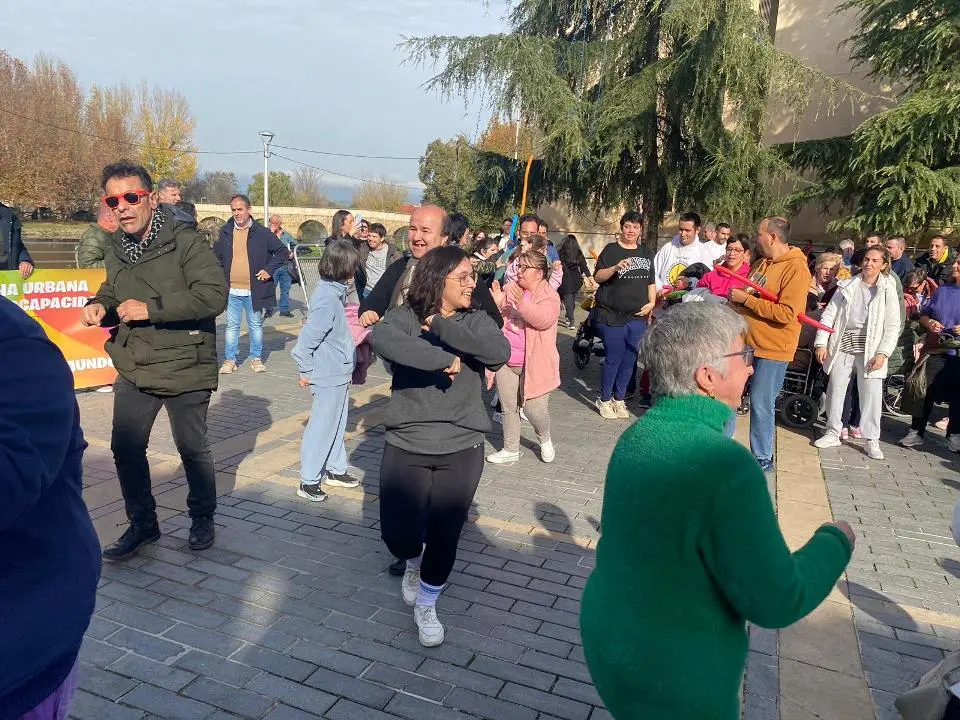 VII MARCHA POR LA DISCAPACIDAD (94)