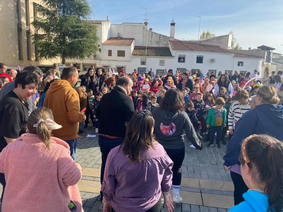 VII MARCHA POR LA DISCAPACIDAD (95)