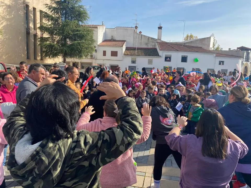 VII MARCHA POR LA DISCAPACIDAD (96)