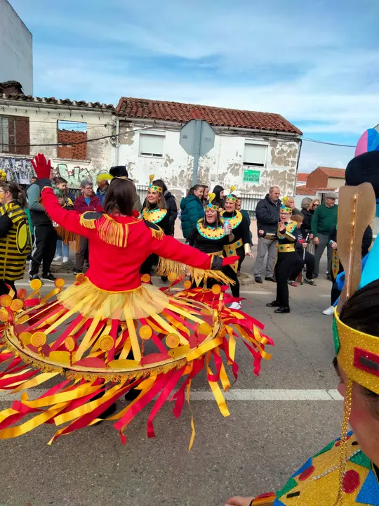 Carnavales 2025 en el Centro Ocupacional de Moraleja (6)