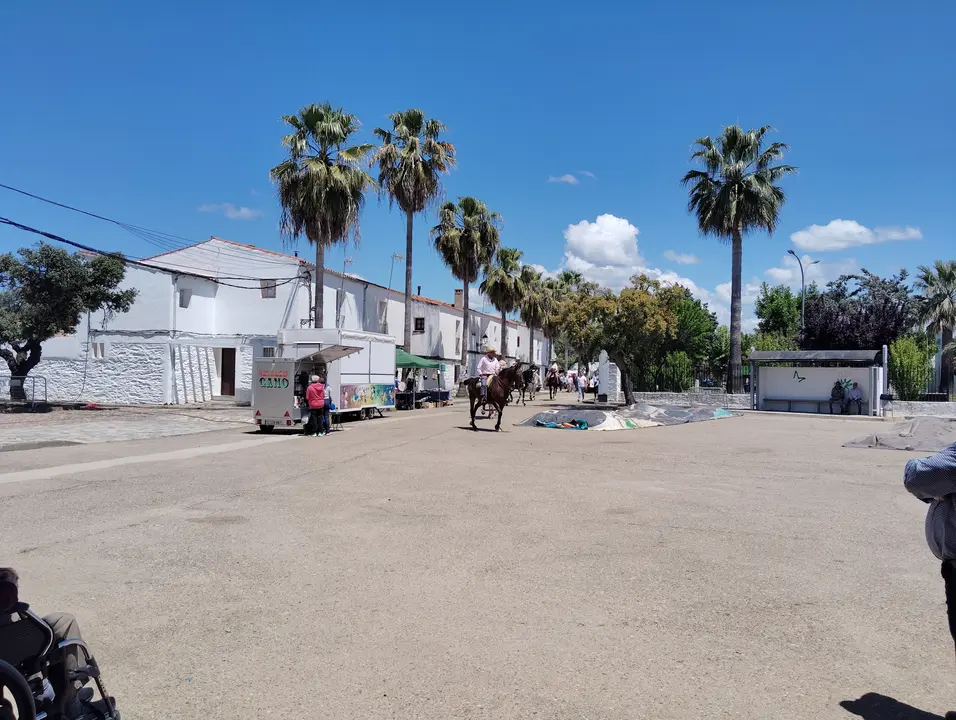 Fiestas patronales en Vegaviana (27)