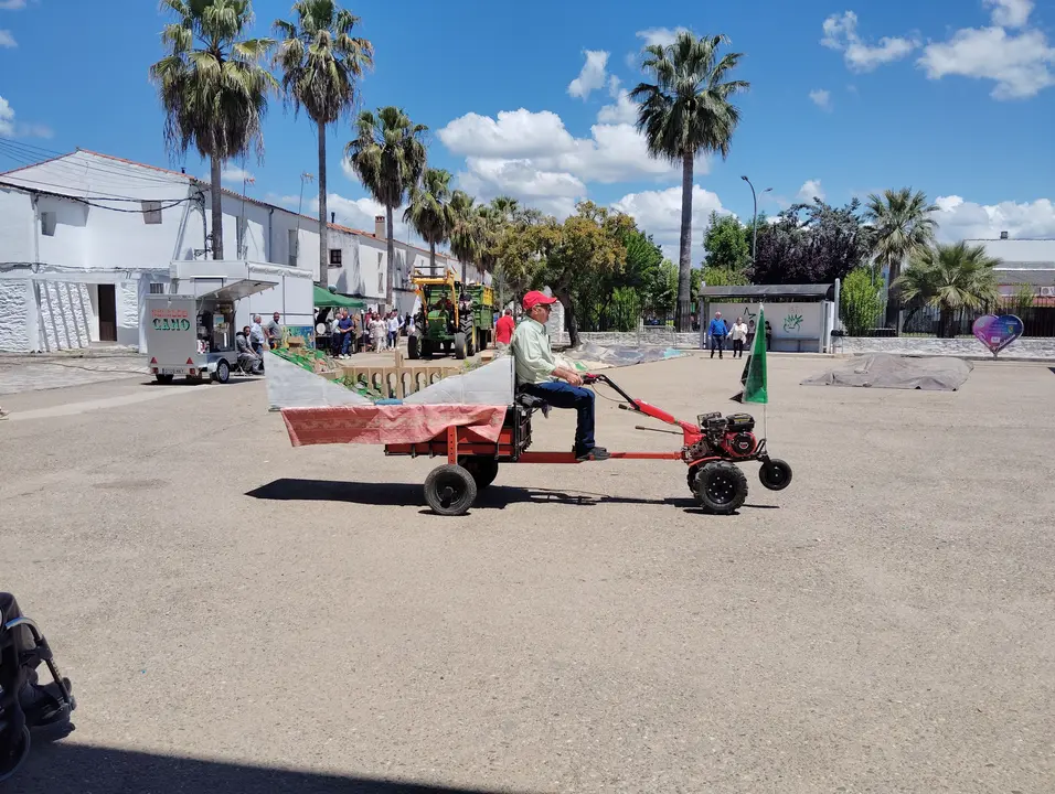 Fiestas patronales en Vegaviana (30)