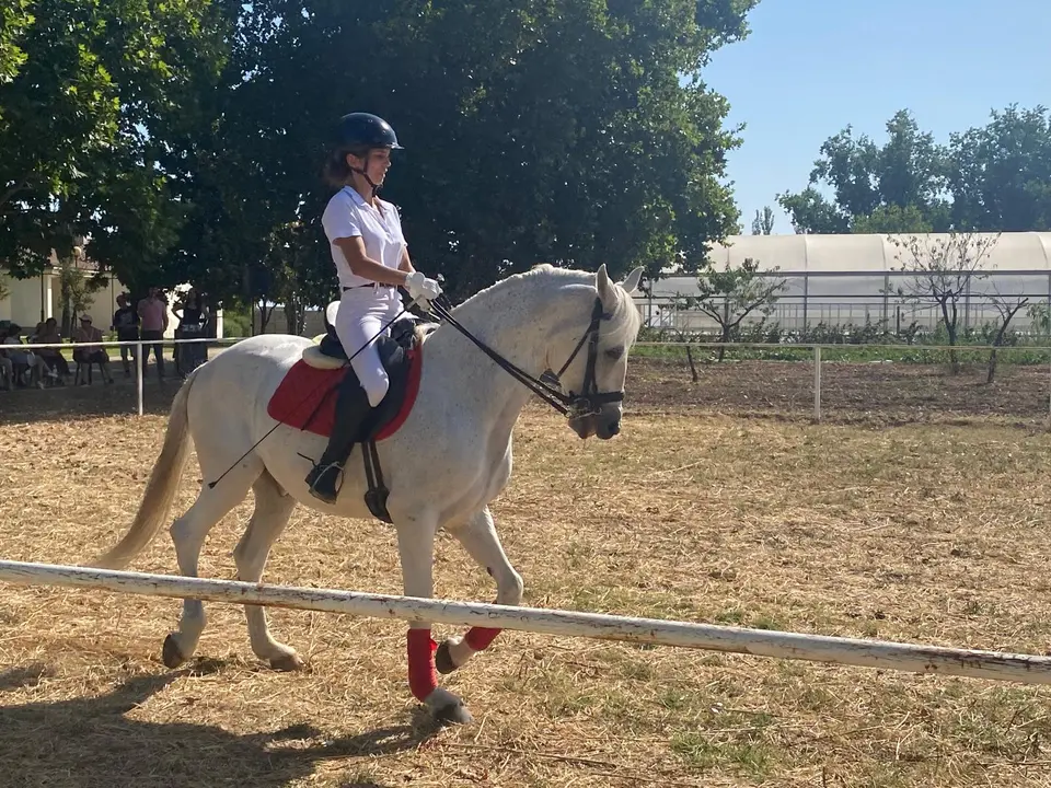D&iacute;a de convivencia y exhibicion ecuestre en el COM (29)