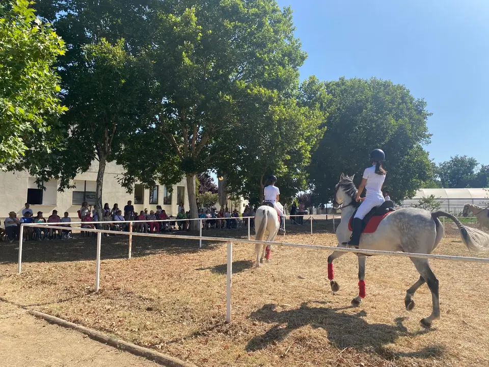 D&iacute;a de convivencia y exhibicion ecuestre en el COM (73)