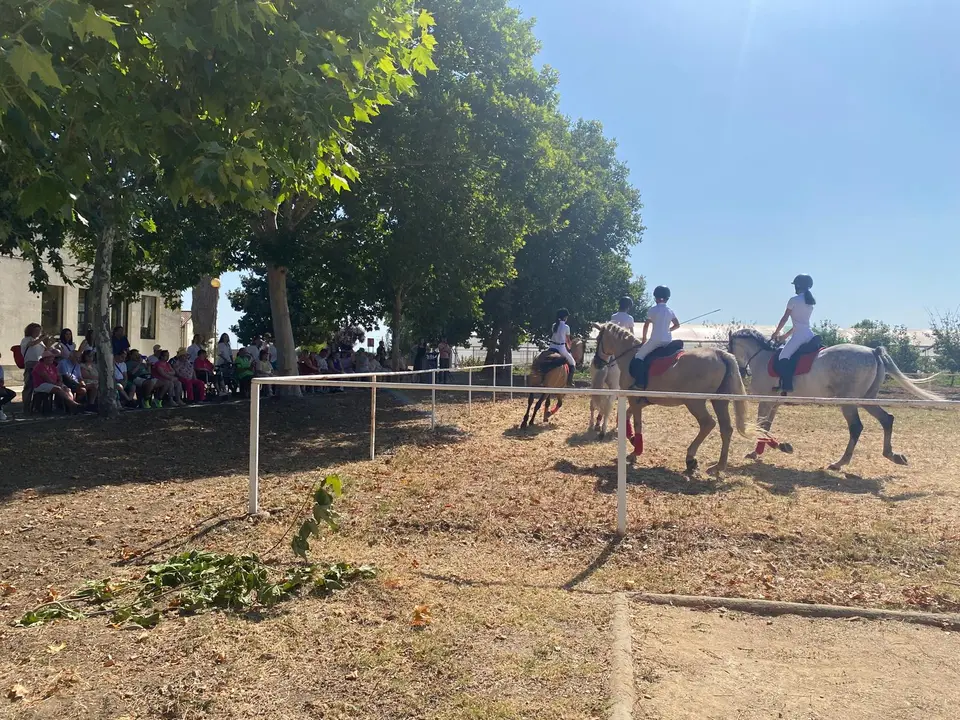 D&iacute;a de convivencia y exhibicion ecuestre en el COM (74)