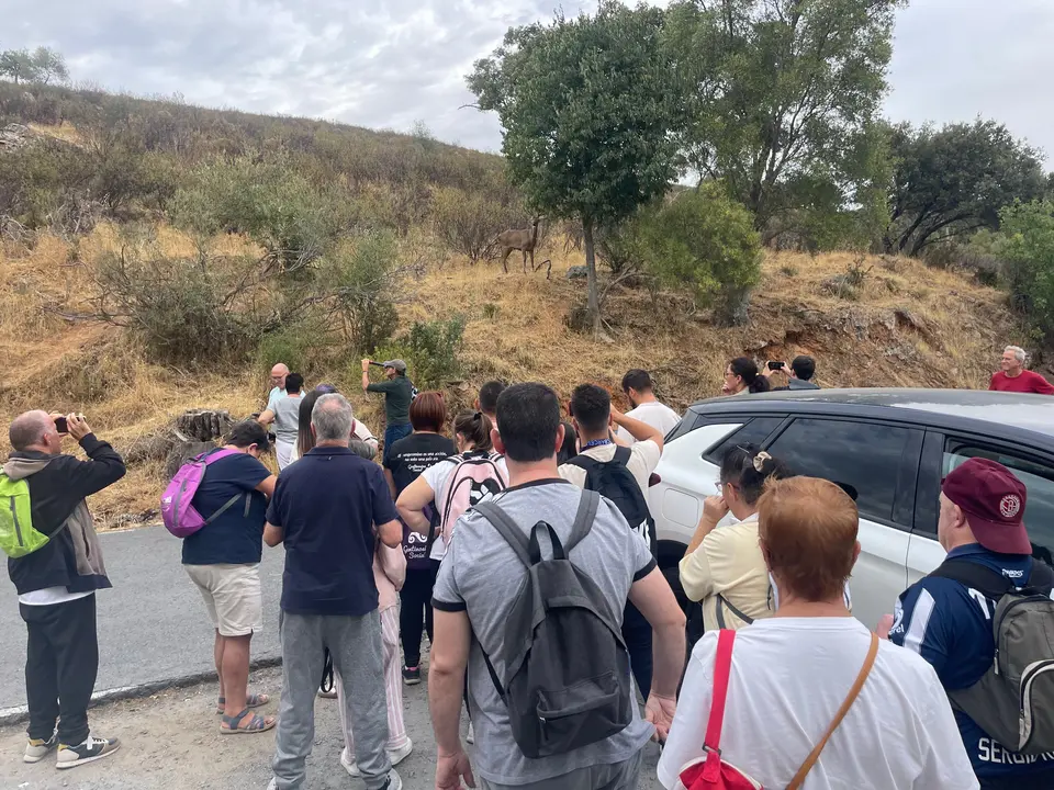 Visita a Monfrag&uuml;e (13)