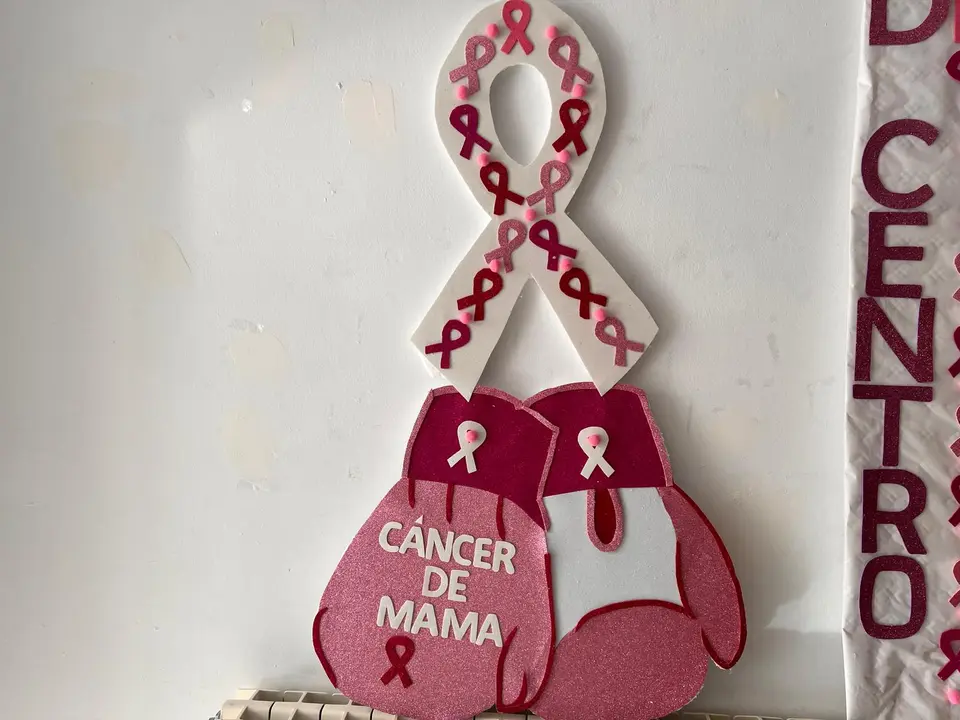 Dia Mundial de la Lucha contra el C&aacute;ncer de mama (2)