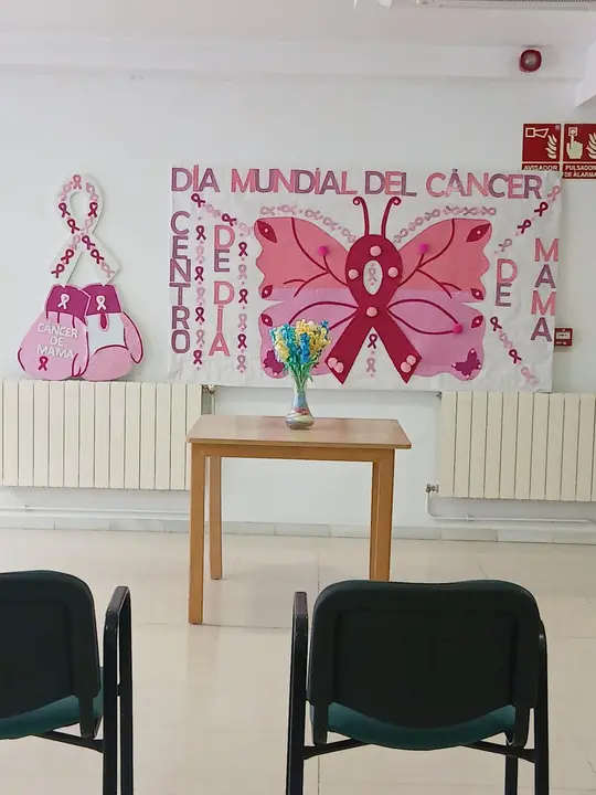 Dia Mundial de la Lucha contra el C&aacute;ncer de mama (8)