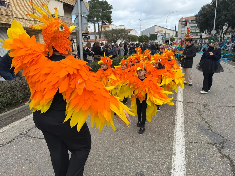 Carnaval 2026 en el COM Moraleja (103)