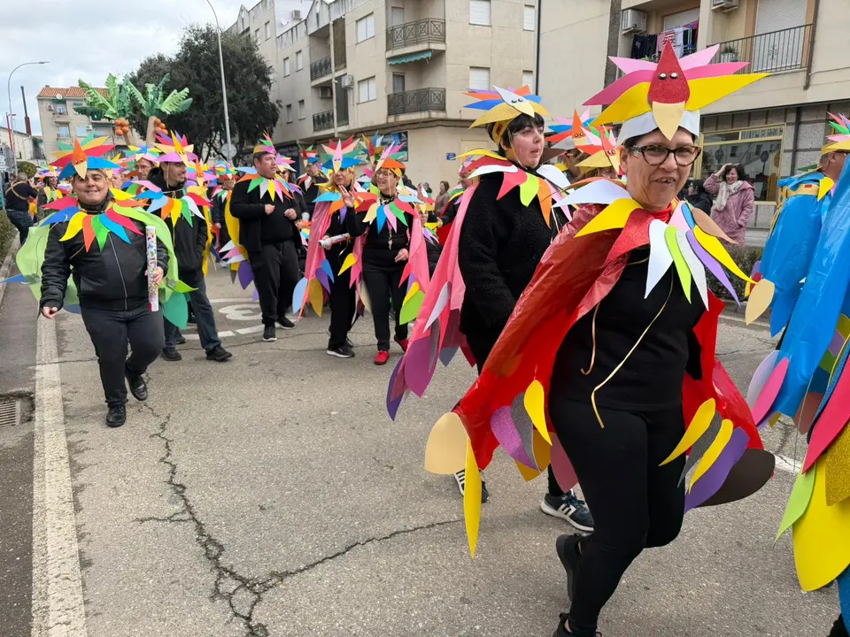 Carnaval 2026 en el COM Moraleja (132)