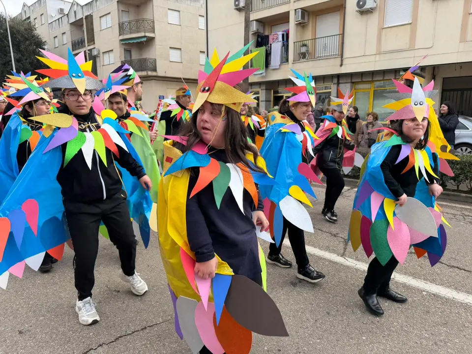 Carnaval 2026 en el COM Moraleja (138)