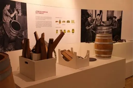 CD Almendralejo visita el Museo del Vino (10)