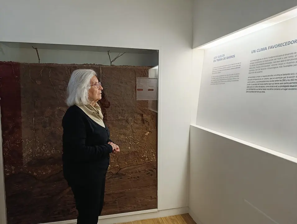 CD Almendralejo visita el Museo del Vino (13)
