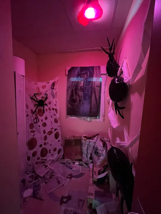 Escape Room en RM Torrecilla de los &Aacute;ngeles (15)