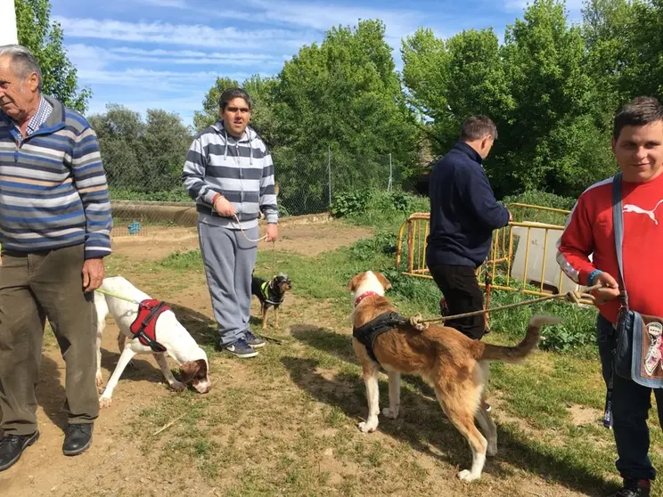 IV sesión de la Terapia Asistida con Animales en El Refugio, de Plasencia