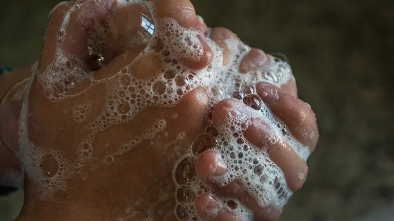 imagen de la web manoslimpiaspuntoes.jpg