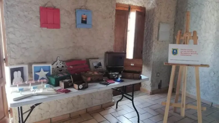 Vista parcial de la Exposici&oacute;n de Mensajeros de la Paz Extremadura en el VII Integra con Arte