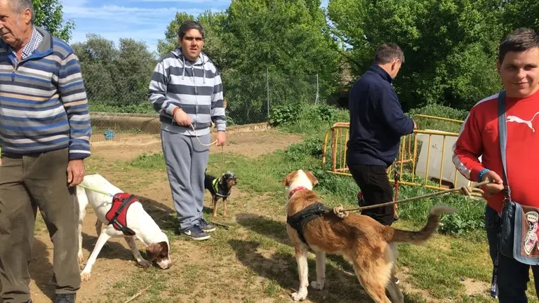 IV sesi&oacute;n de la Terapia Asistida con Animales en El Refugio, de Plasencia