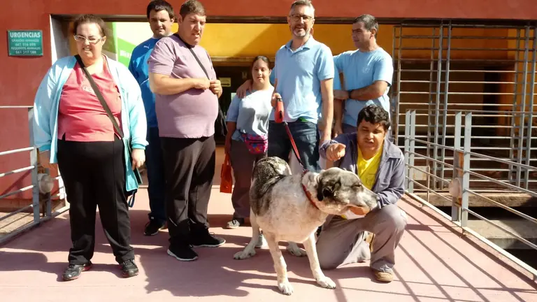 Usuarios y monitor recogen a Tina en la Facultad de Veterinaria de C&aacute;ceres