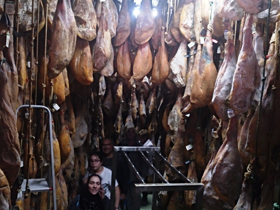 Visita a la dehesa 11018 (35)