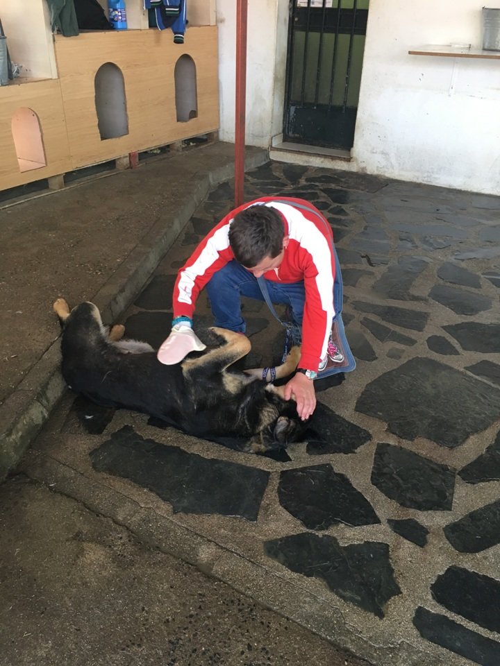 NUÑOMORAL TAA del 1604019 (4)