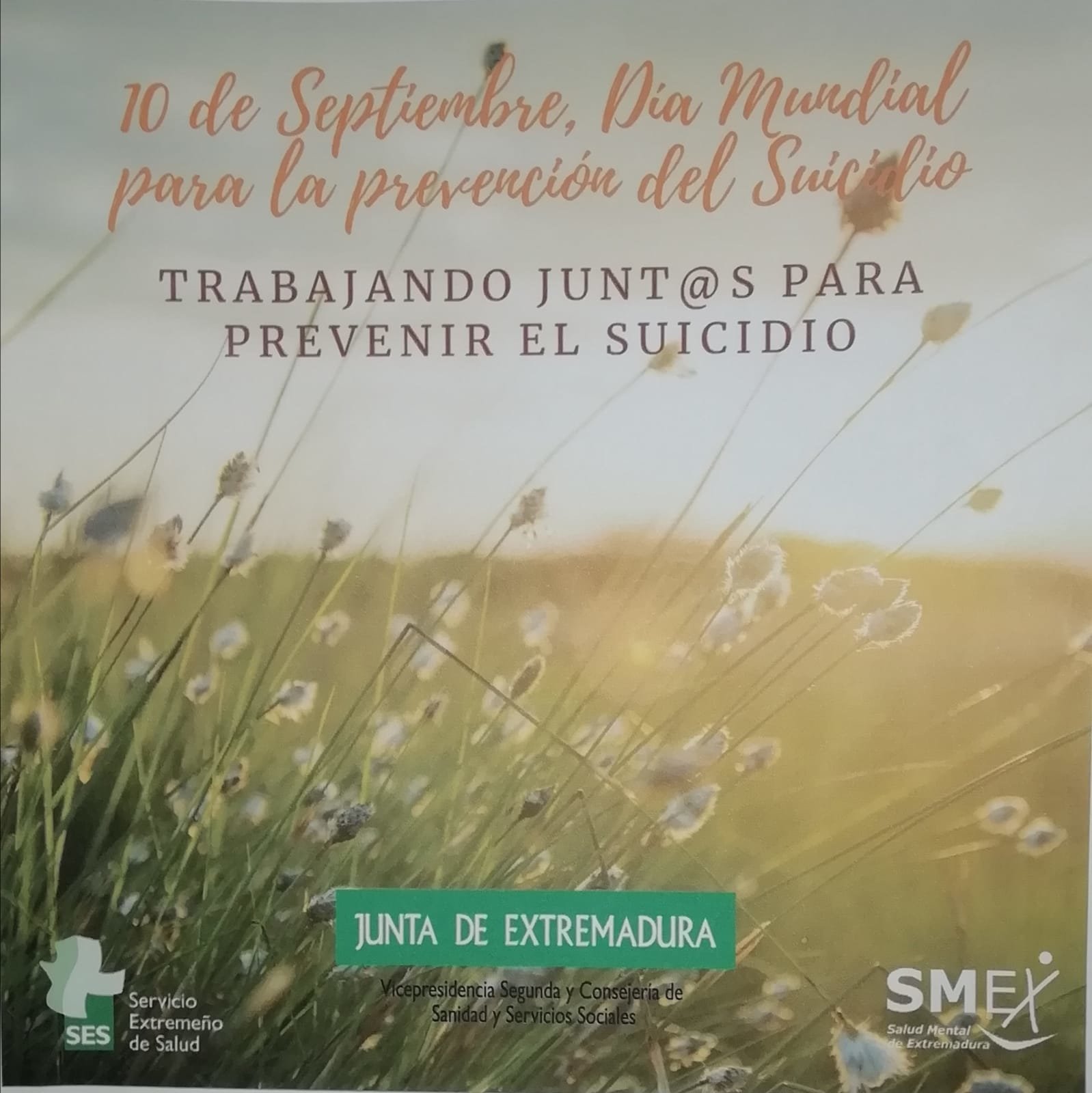 ROZACORDEROS Taller Razones para vivir 1009019 (3)
